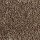 Aladdin Carpet: Classical Design III 12' Rustic Beam